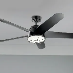 Daya 54 Inch Satin Black Caged Damp Rated LED Ceiling Fan with Remote