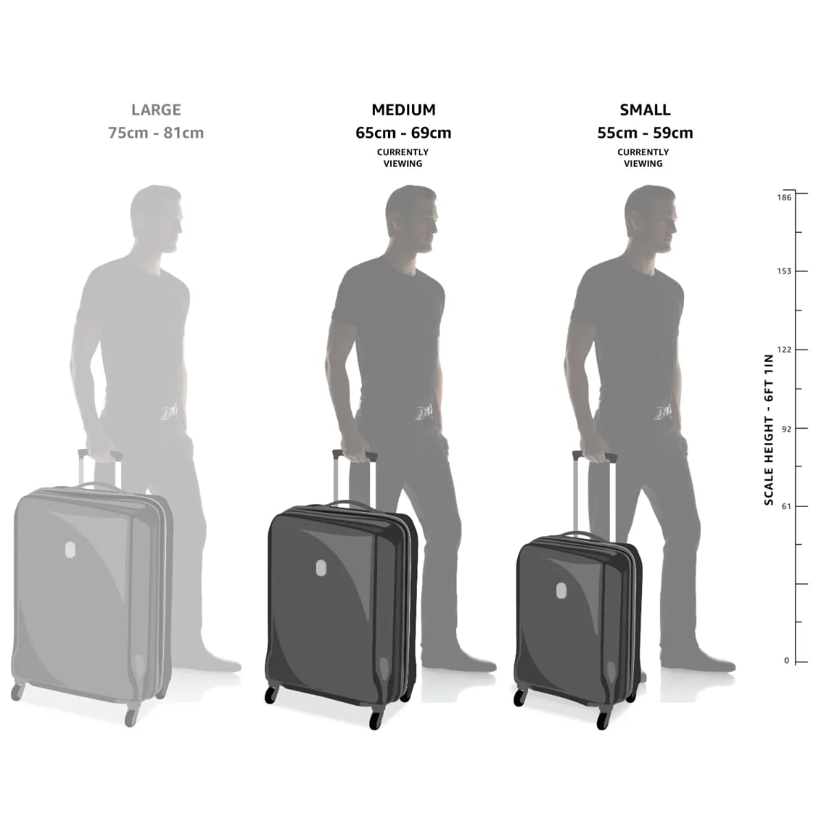 Safari Pentagon Hardside PP Luggage